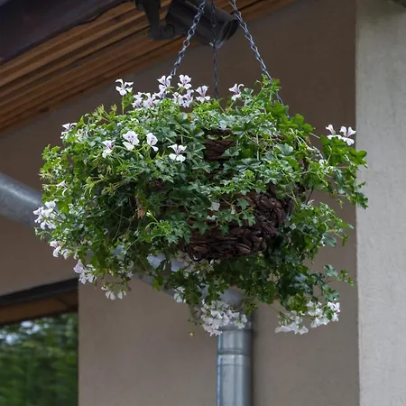 Kabakum House Ваканционна къща