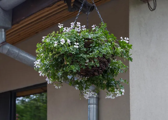 Kabakum House 別荘